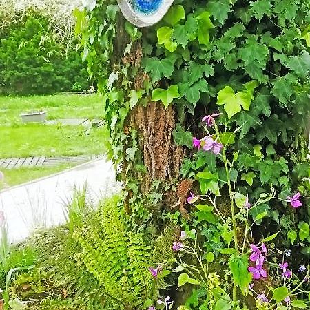 Mirguet Au Jardin Apartment Saint-Elix-le-Chateau ภายนอก รูปภาพ