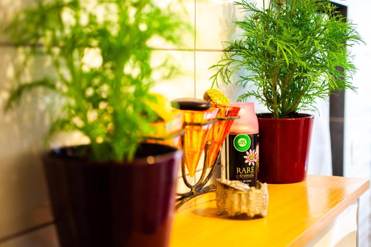Mirguet Au Jardin Apartment Saint-Elix-le-Chateau ภายนอก รูปภาพ