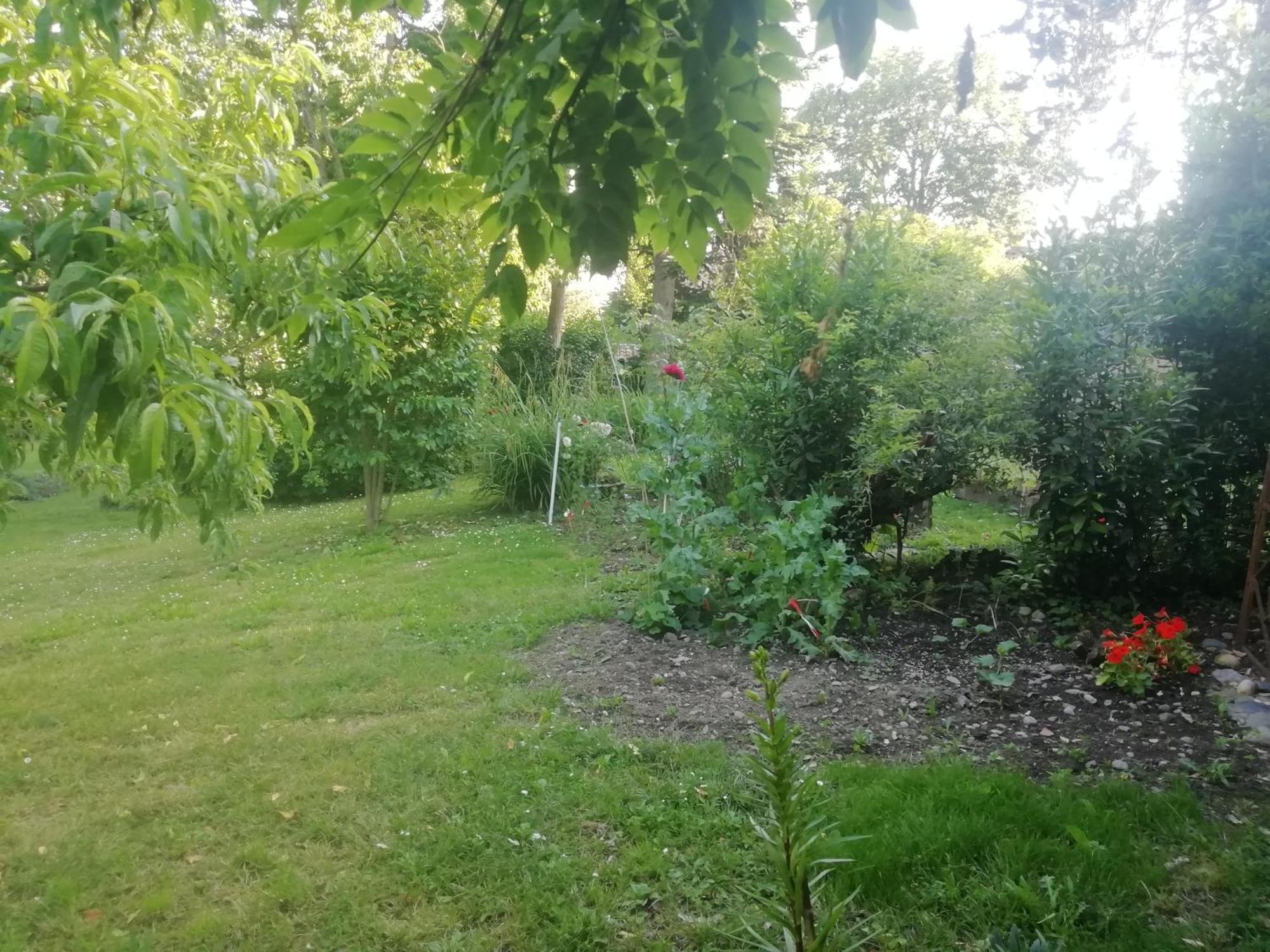 Mirguet Au Jardin Apartment Saint-Elix-le-Chateau ภายนอก รูปภาพ